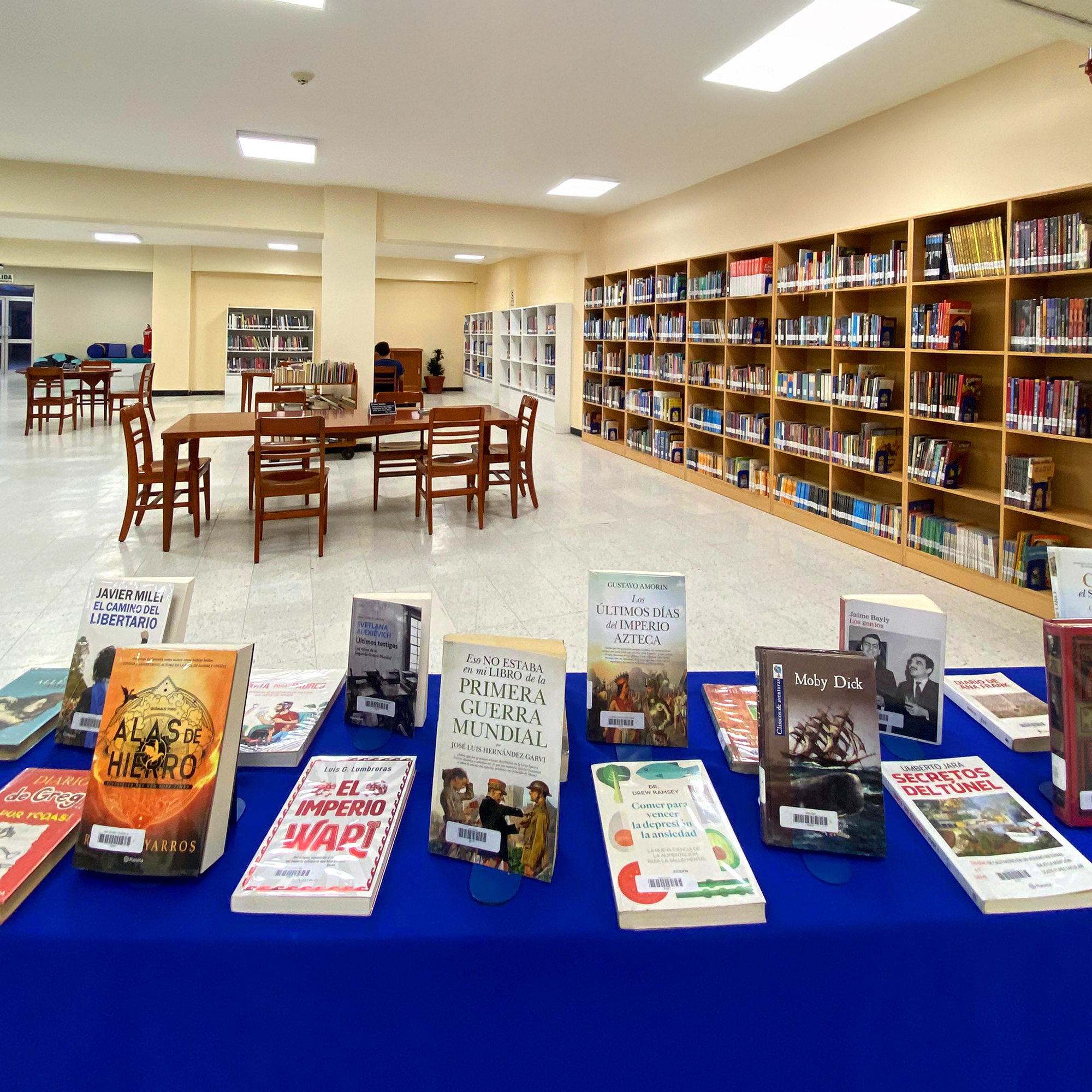 Biblioteca Lima Centro 6